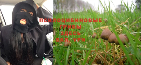 apvp Баксан